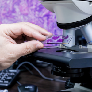 Estudio de patología